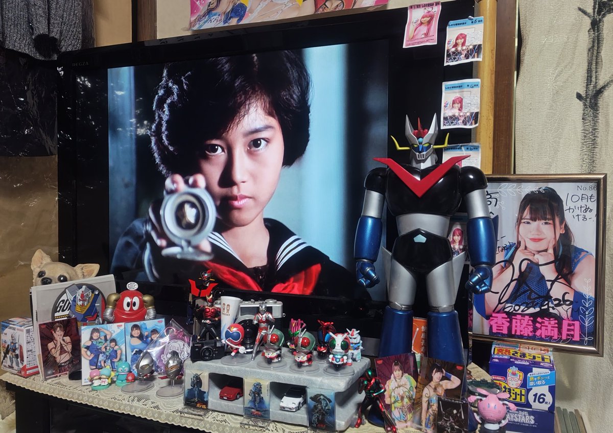 mangetu1020yt's tweet image. 寒い中スケバン刑事Ⅲを見ながらアイスを食べるのは最高だね👍