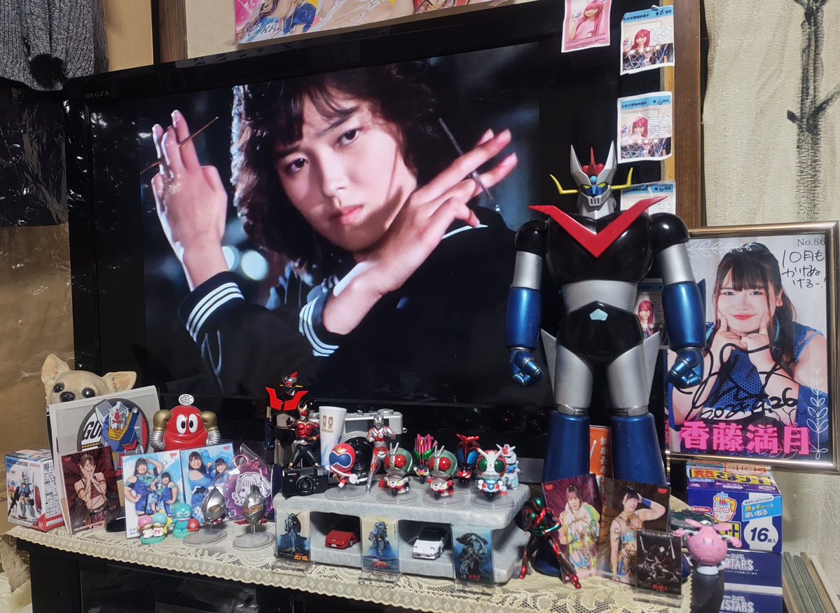 mangetu1020yt's tweet image. 寒い中スケバン刑事Ⅲを見ながらアイスを食べるのは最高だね👍