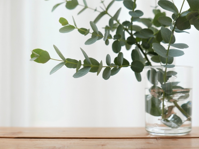 machida_lum's tweet image. おはようございます。
今日のシバヒロ前は #カウンセリング 

話すとスッキリすることも
相談する
話してみる
はとても大切なライフハックです。