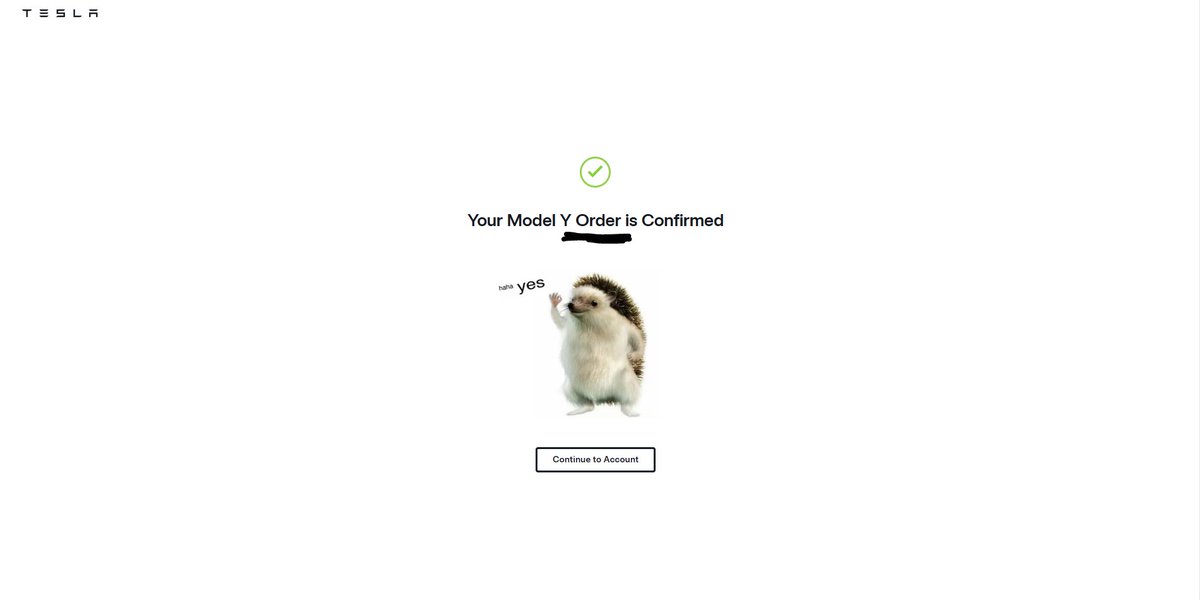 James Cat tweet media