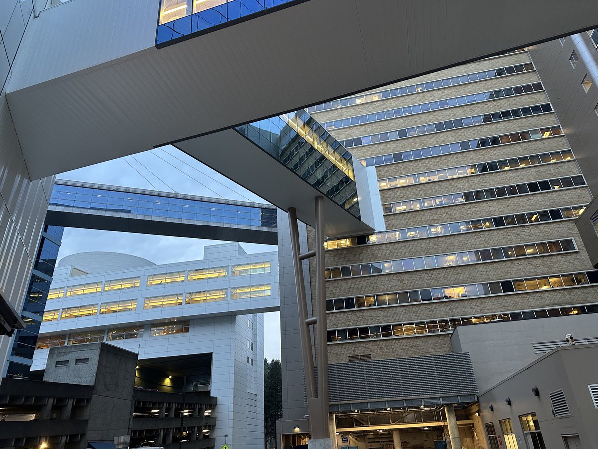 Luminous Egress tweet media