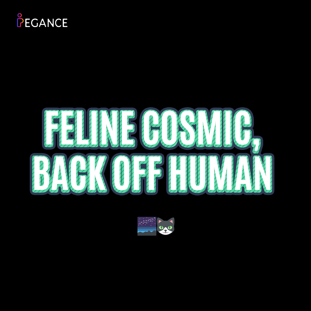 Peganceclothing's tweet image. 🚀 PAWS UP, SPACE MODE ACTIVATED! 🐱✨

Meet the purr-fect tee for every cosmic dreamer — cute, bold, and ready to explore galaxies far, far away 🌌💫

👉 Grab yours now at pegance.com

#SpaceVibes #Catstronaut #PeganceStyle #MeowMission #GalaxyMode #NeedMeowSpace