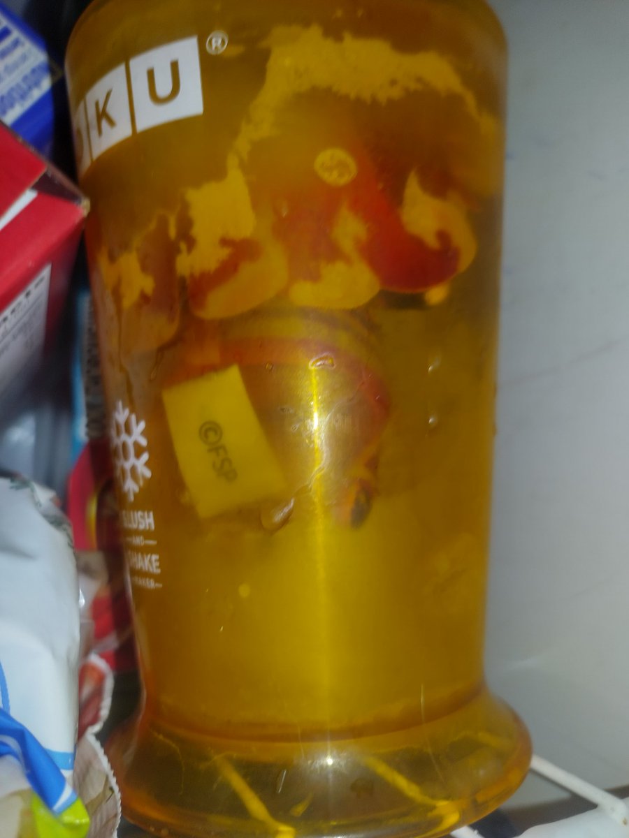 sagitfy's tweet image. I FORGOT ABOUT MALIM IN MY FREEZER