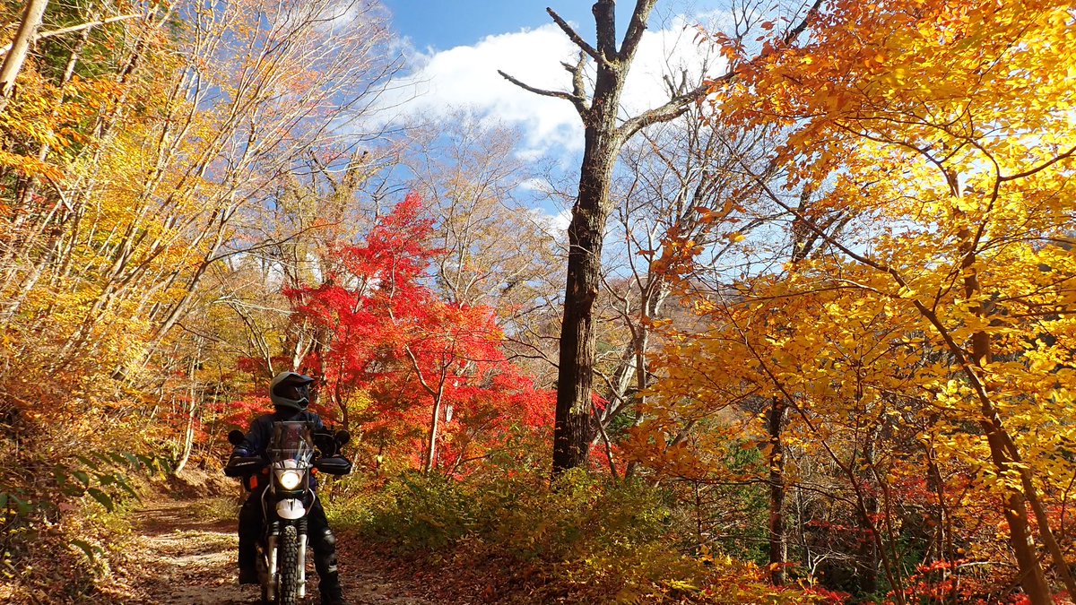 zeropoint_5486's tweet photo. 福島県三春。林道ツーリングとカヤックの二刀流キャンプして来た。
mont-bellアウトドアビレッジ三春。 https://t.co/liQZNA8EiK