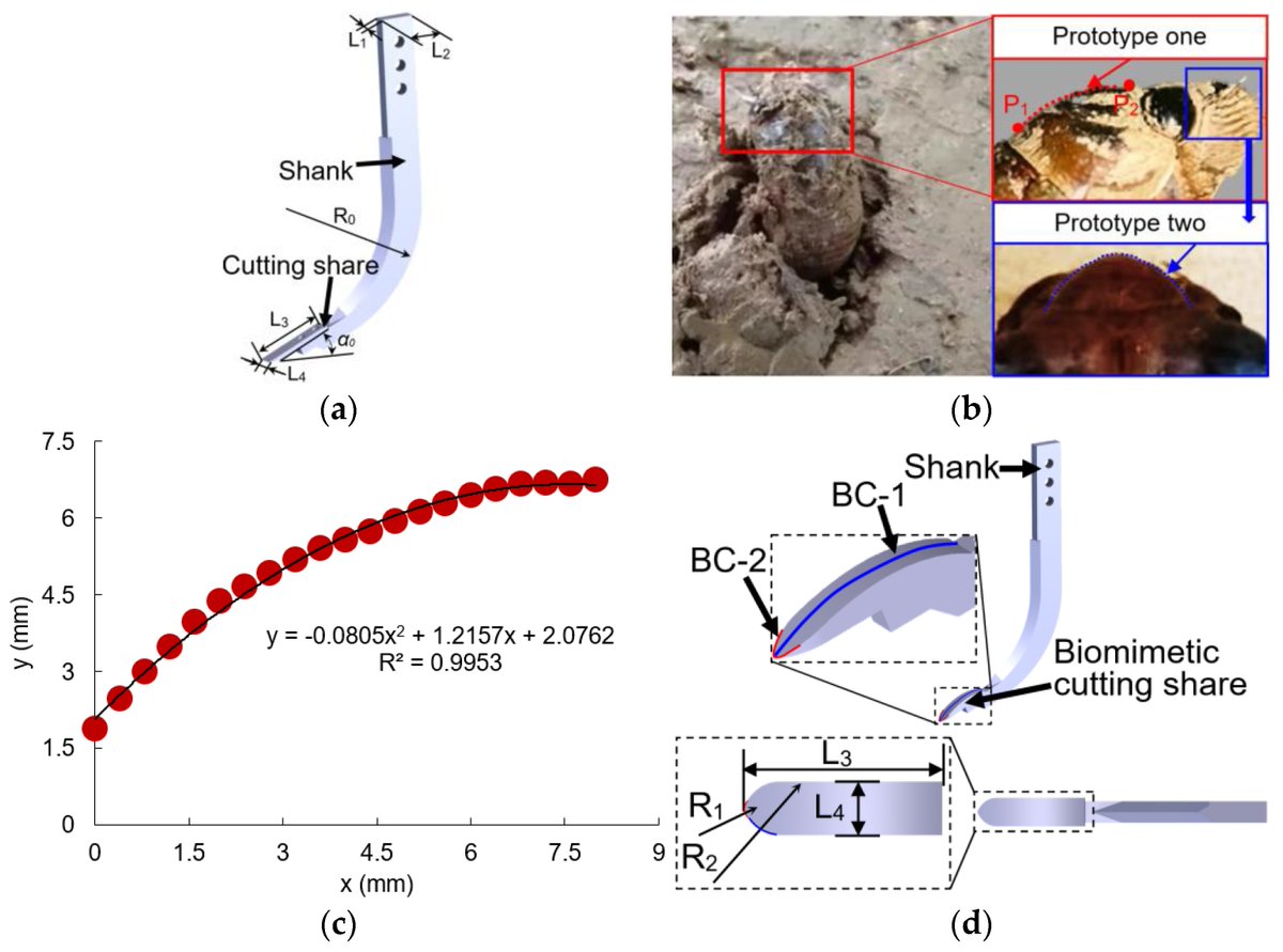 Biomim_MDPI's tweet image. 🪲🌱A cicada-inspired subsoiling tool (CIST) has been developed to reduce the high draught forces and energy consumption typical in modern subsoiling operations.
🔗 mdpi.com/2313-7673/9/1/…
#Biomimetics #Agriculture #Biomimicry #SustainableFarming  #SoilMechanics