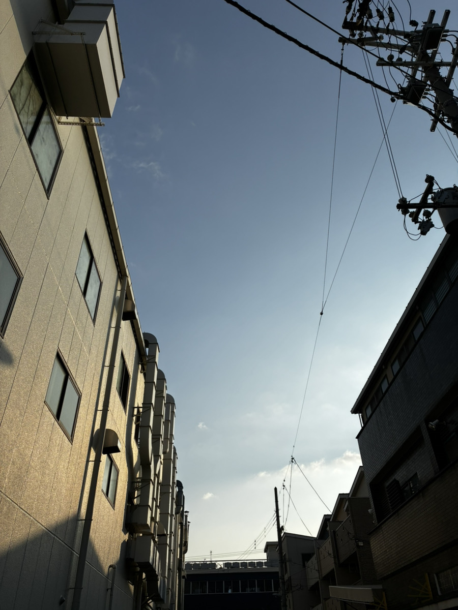 KamiLove2024's tweet image. おそ紙ら部～📜もう昼💦
今朝の大阪東成区は晴れ☀最高気温17度😚
本日 #インターネット記念日 1969年 #ARPANET=高等研究計画局ネットワークの公開実験を開始💻え、まだ半世紀⁉
連休前ラスト1日✨華金よろしくお願いいたします🙇‍♀️
#企業公式が朝の挨拶を言い合う
#企業公式が毎朝地元の天気を言い合う