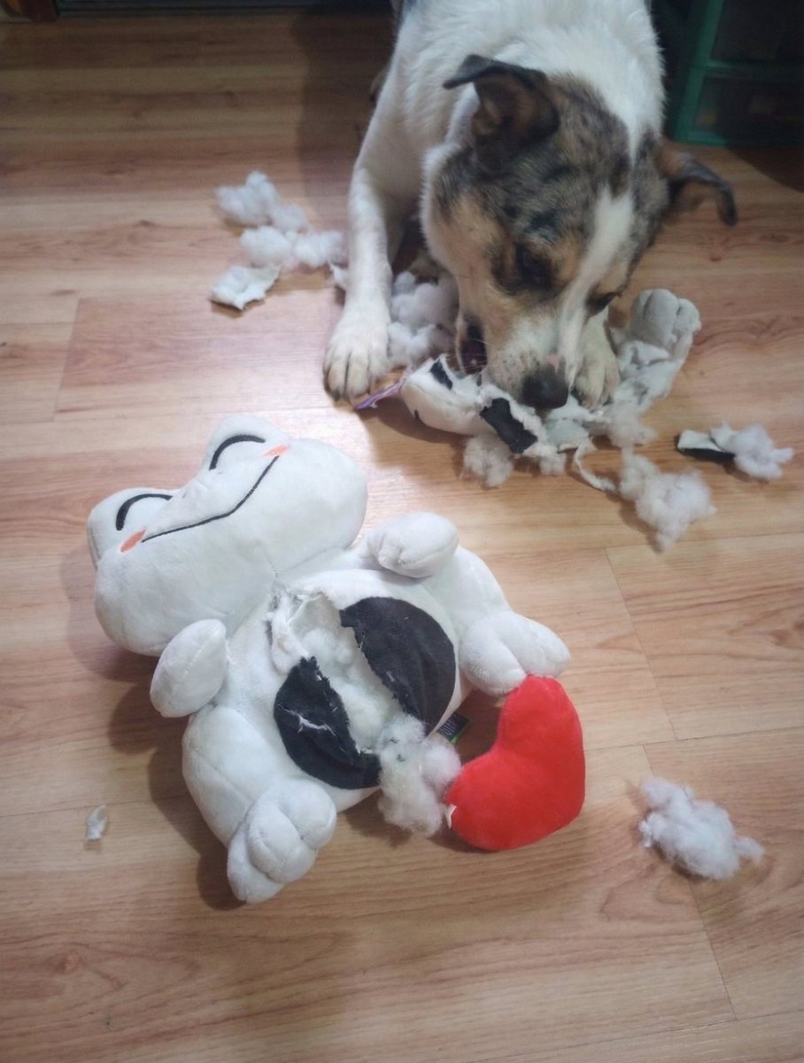 Danielx147147's tweet image. 