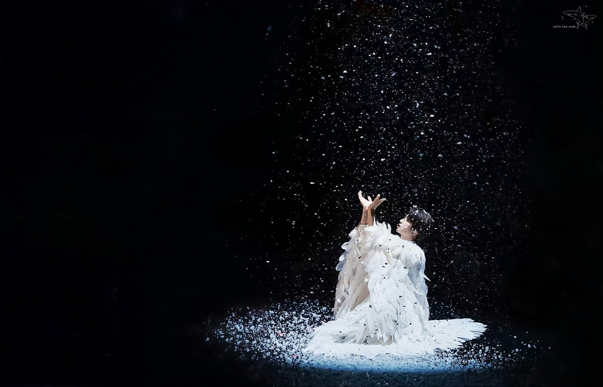 wulitou11110074's tweet image. 小刘好像长出翅膀了耶 #liuyu