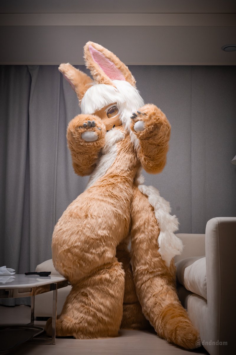 Doki 에서 만들어준 나나치에요~! 짱 귀엽죠...? 🐾💖
이제 한국행사에서도 나나치를 볼 수 있답니다...! 🥰

#Fursuit #FursuitFriday