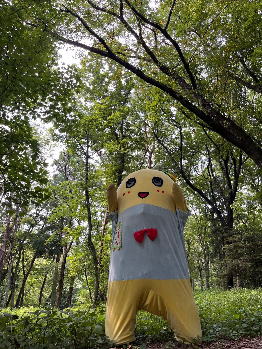 FY4Chan's tweet image. I love that Funassyi and I share an appreciation of nature, and being out in it. 🌳🌻😊