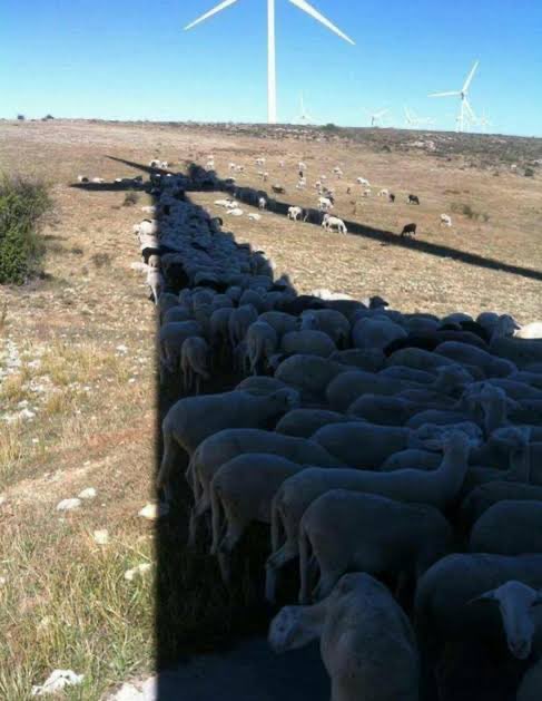 Mark Ogge (@markogge) on Twitter photo 