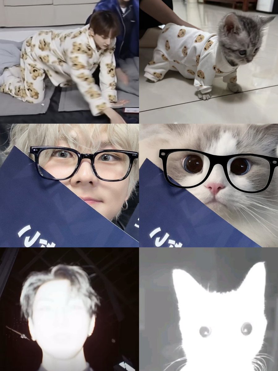 dani ࣪ ִֶָ☾. 2♡9 tweet media