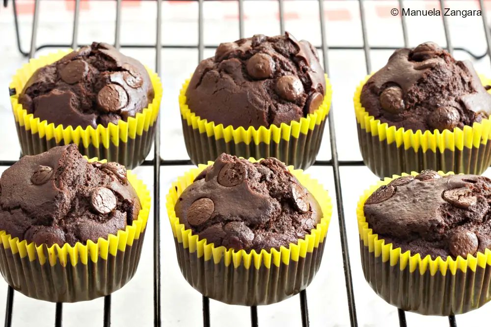Soft, chocolatey muffins without any dairy always feel like a small treat in the middle of a busy day 🍫 

Try this easy recipe now and bake a warm batch at home!

tinyurl.com/3dt7yey5

#dairyfreedessert #chocolatemuffins