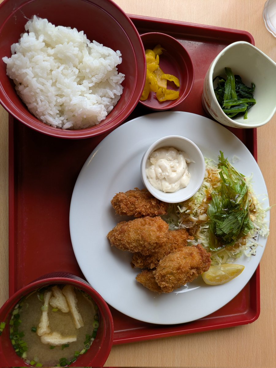 odacchijp's tweet image. あい　わな 
JOY と JOY と JOY と POPなベイベー🎵
JOY と JOY とJOY HAPPYなピーポー🎵🤣
#Joyful
#かきフライ定食
#899円
#カキフライの日
#バイク乗り