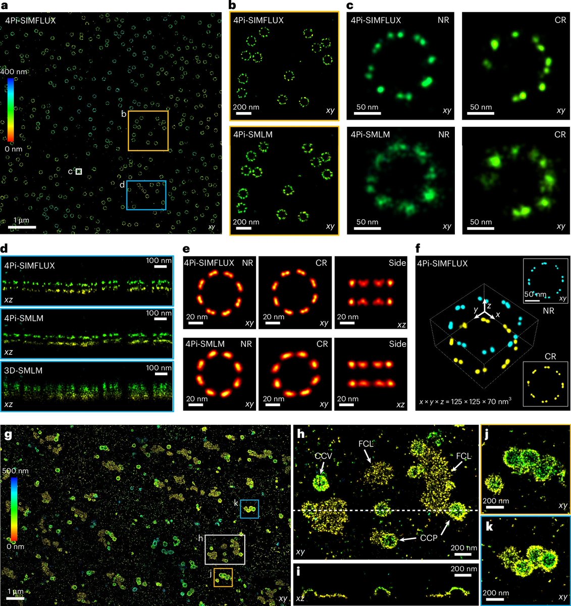 YongdengZhang's tweet image. Happy to share our latest work, 4Pi-SIMFLUX, which combines structured illumination with interferometric detection to achieve near-isotropic 3D localization precision of 2–3 nm and resolve sub-10 nm structural features in cells. nature.com/articles/s4159…
rdcu.be/eQVxt