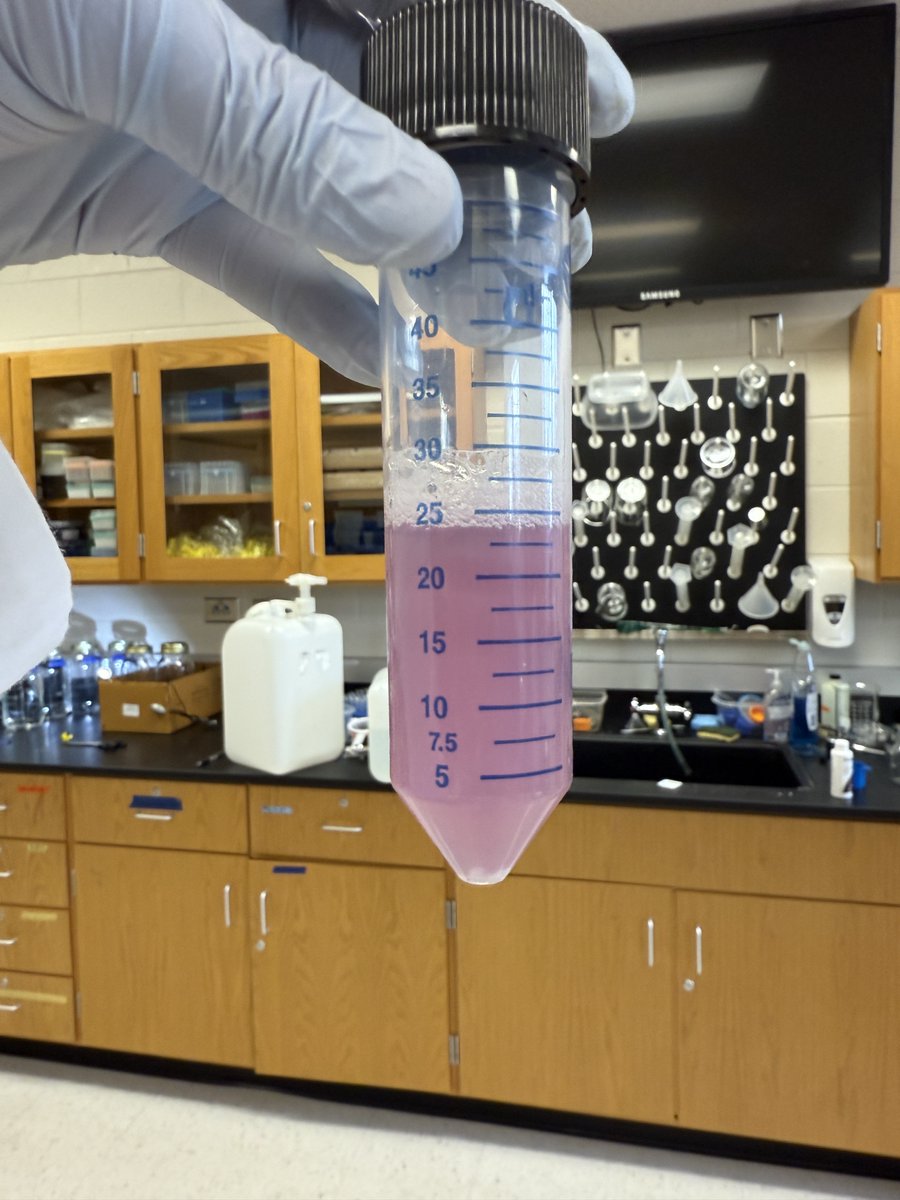 can you guys watch my nanorods while im gone