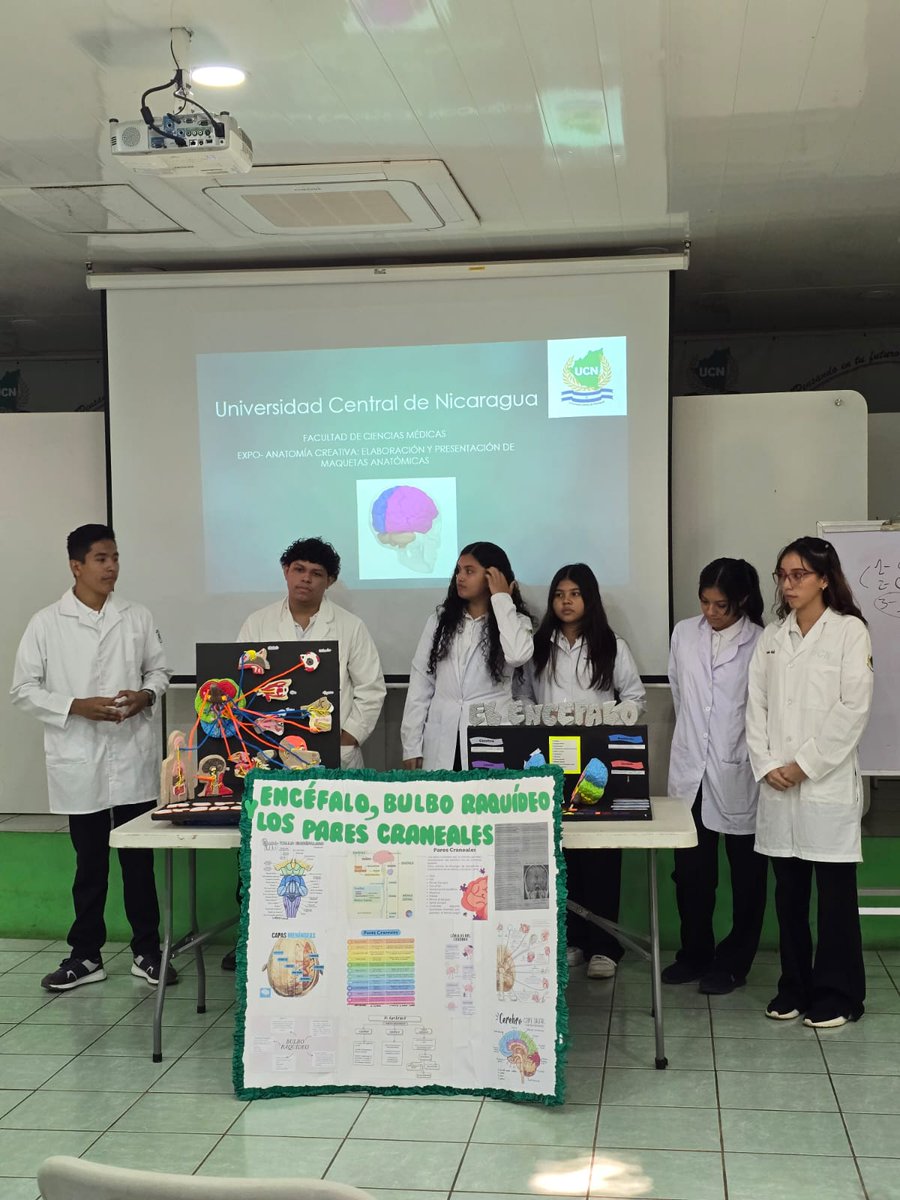 ucn_central's tweet image. UCN Central realizó la Expo–Anatomía Creativa, donde estudiantes de Ciencias Médicas presentaron maquetas para fortalecer su comprensión del cuerpo humano y aplicar el razonamiento morfofuncional. Una feria que impulsó creatividad, trabajo en equipo y divulgación académica. Más…