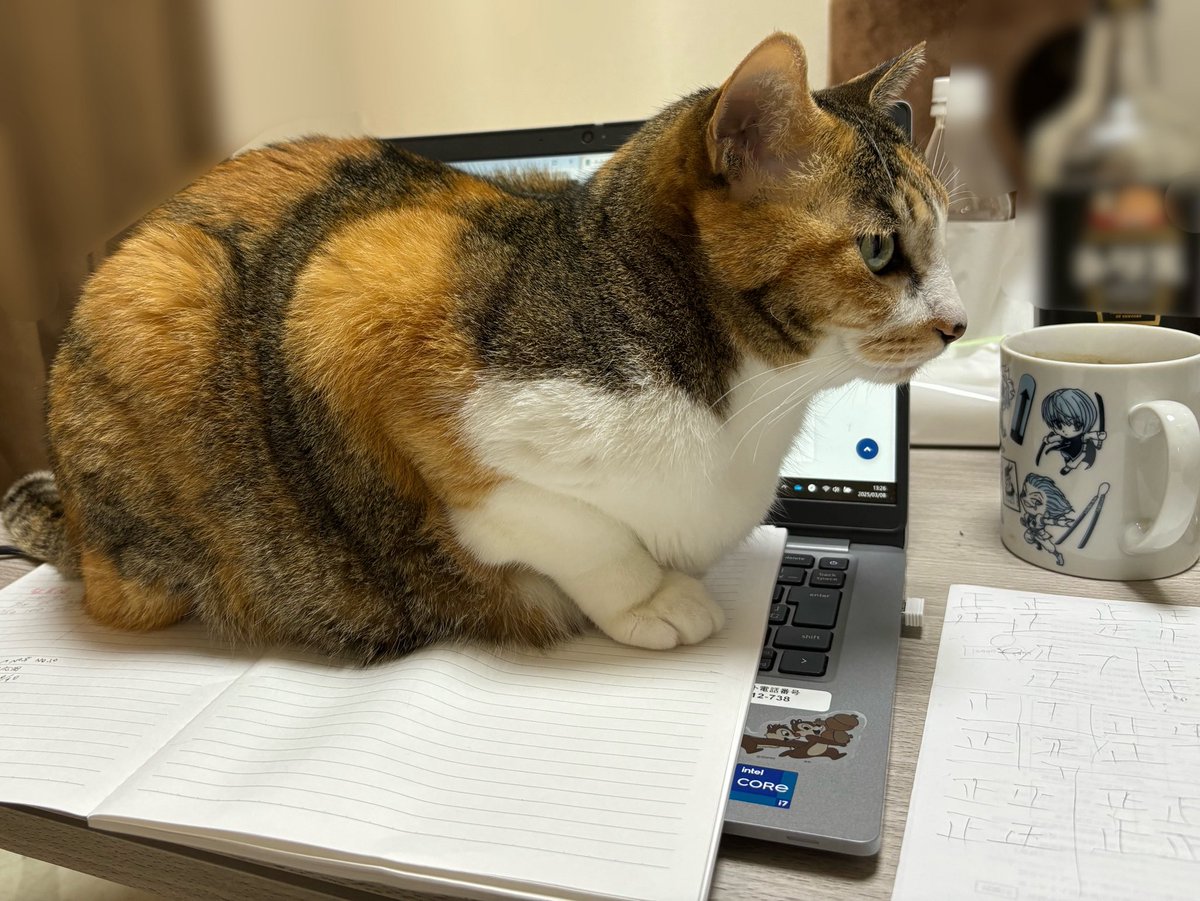 rinnn_dir's tweet image. 🌸論文落ちたので改めて自己紹介します。

こちらは公認会計士試験と仕事と婚活を両立させるアカウントです。時々邪魔猫が吸えます。🐈‍⬛🐈⸒⸒⸒⸒
趣味はアニメ鑑賞と飲酒です。
来年必ず合格します。2026年11月に一緒に乾杯しましょう🍻🎶

#公認会計士試験
#公認会計士受験生