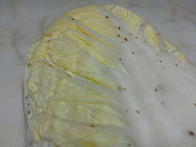 MAFF_JAPAN's tweet image. 【農林水産省からのお願い】
⚠️白菜に写真のような黒い斑点があっても捨てないでください！
ポリフェノールなので食べても害はありません！