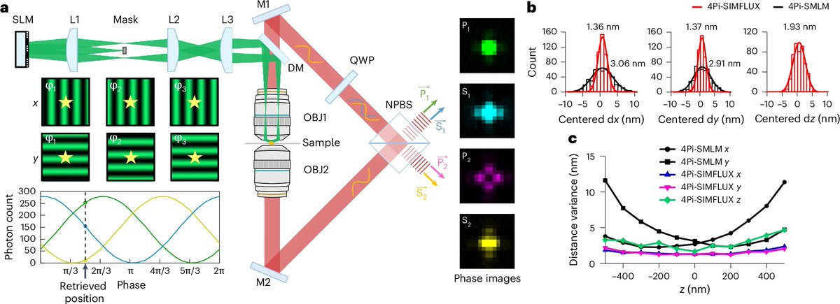 YongdengZhang's tweet image. Happy to share our latest work, 4Pi-SIMFLUX, which combines structured illumination with interferometric detection to achieve near-isotropic 3D localization precision of 2–3 nm and resolve sub-10 nm structural features in cells. nature.com/articles/s4159…
rdcu.be/eQVxt