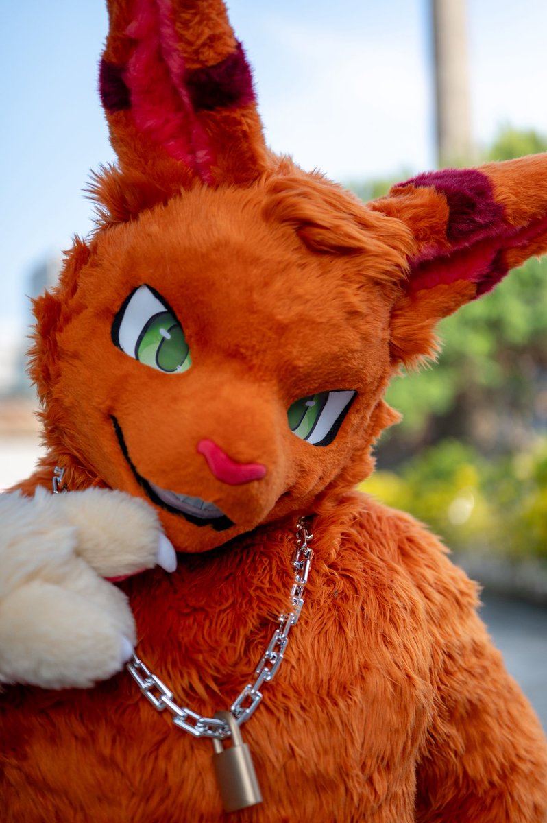 Ryao_Kompoi's tweet image. 氣越來越冷了，想不想跟柑焙一起取暖呢～

寒くなってきたね。柑焙と一緒に暖まりたくならない？

#FursuitFriday
#fursuit
📷 @Turquobitbit