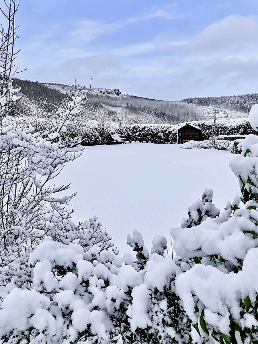 Nicky13Johnson's tweet image. Wishing you a fabulous Friday from little slice of North Yorkshire 🥶