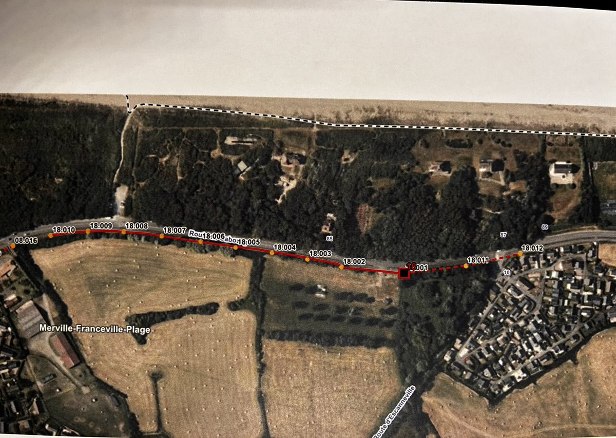 Paz Olivier tweet media