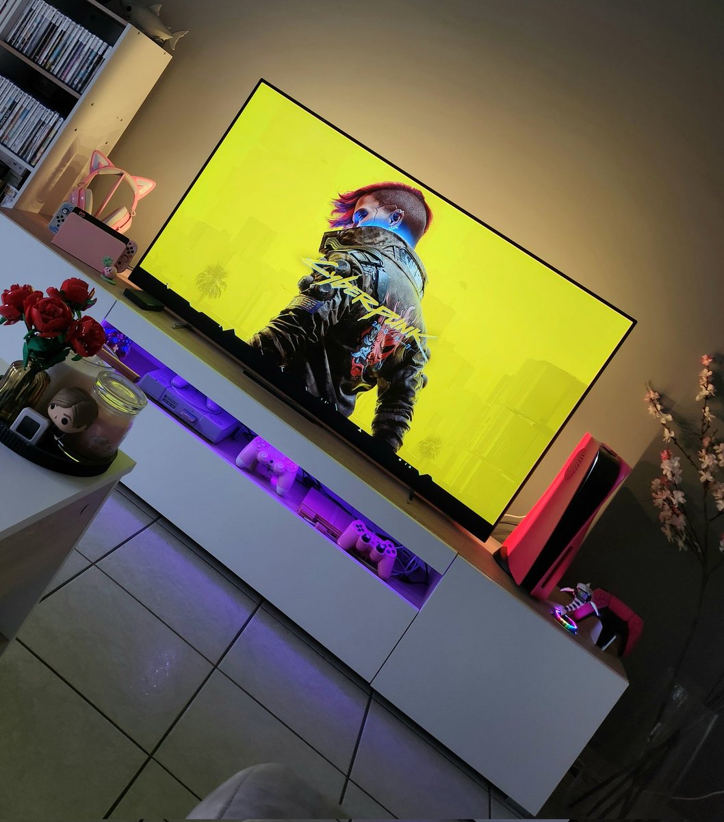 Noëlie 🦖 tweet media