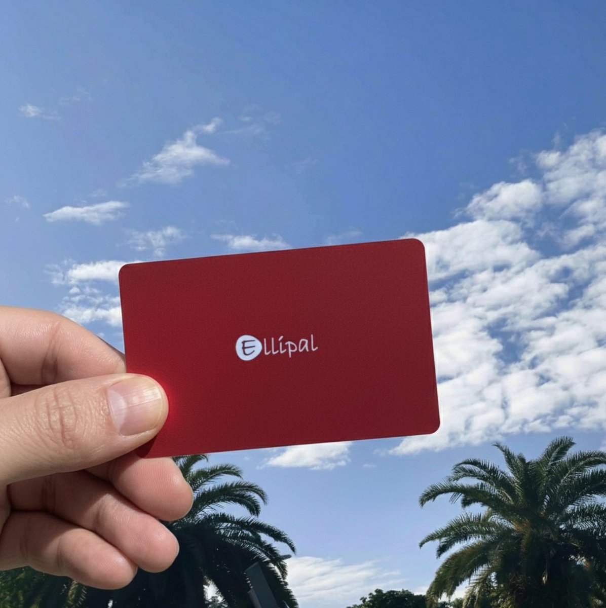 ELLIPAL's tweet photo. Your keys, your sky, your rules.
Self-custody goes wherever you go. https://t.co/gH9pZ2FrC0