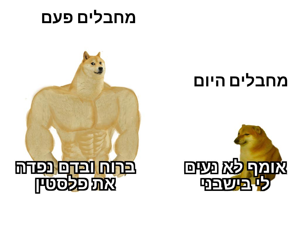 Avishay (@avishayifr) on Twitter photo 