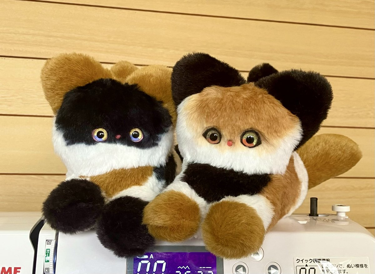 ʜᴜᴋᴀɴᴢᴇɴ (@hukanzen_nui) / Posts / X