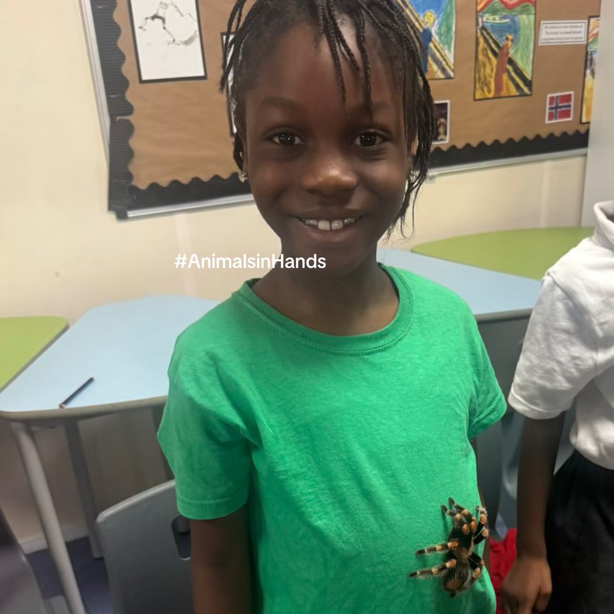 AnimalsinHands's tweet image. Hands-on learning 

#AnimalManUK  #animalbirthdayparty #animalsinhandsuk #animalmanwestmidlands #animalencounteruk  #birthdaypartyideas
#animalsinhandsuk  #wildscience  #exoticzoo #exoticanimalrescue #zootoyou animalsinhands.com