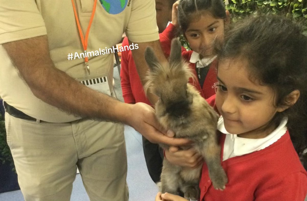 AnimalsinHands's tweet image. Hands-on learning 

#AnimalManUK  #animalbirthdayparty #animalsinhandsuk #animalmanwestmidlands #animalencounteruk  #birthdaypartyideas
#animalsinhandsuk  #wildscience  #exoticzoo #exoticanimalrescue #zootoyou animalsinhands.com