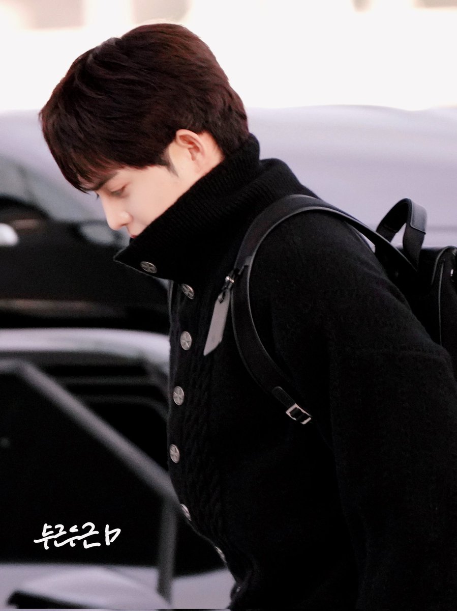 Pit a pat tweet media