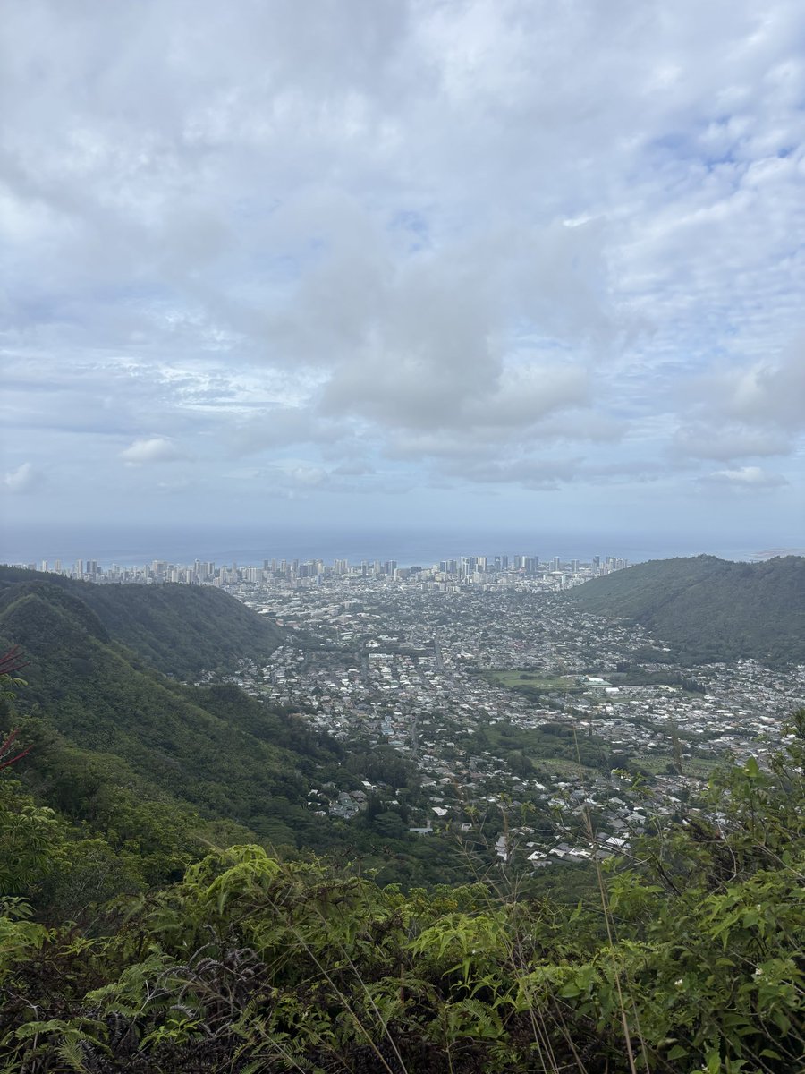 Umme H. Faisal, MBBS tweet media