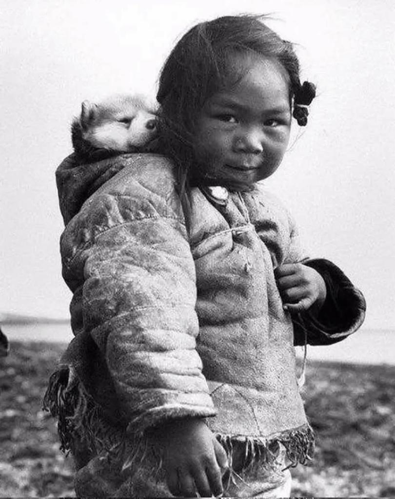 aydata3's tweet image. ～

İnsan zeka karşısında eğilir ama şefkat karşısında diz çöker.

Voltaire