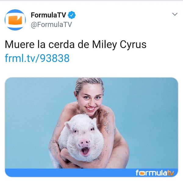 ENTRA PERRA GUILLO RIST #OTDirecto21N