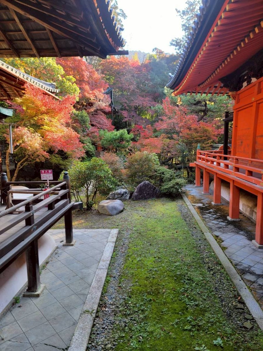 毘沙門堂門跡 (@bisyamondo) / Posts / X