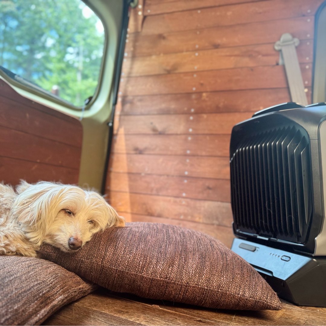 EcoFlowJapan's tweet image. 本日11/22は #いい夫婦の日 として有名ですが、
#いいペットの日 でもあることを知ってましたか？🙋🏻‍♀️

アウトドアや車中泊の寒さ対策には、ポータブルエアコンが有効です！
あなたの家の愛犬も、WAVE 3 の前から離れられなくなること間違いなし！？

#EcoFlow #WAVE3 #冬 #寒さ対策

📷@mamimisawades…