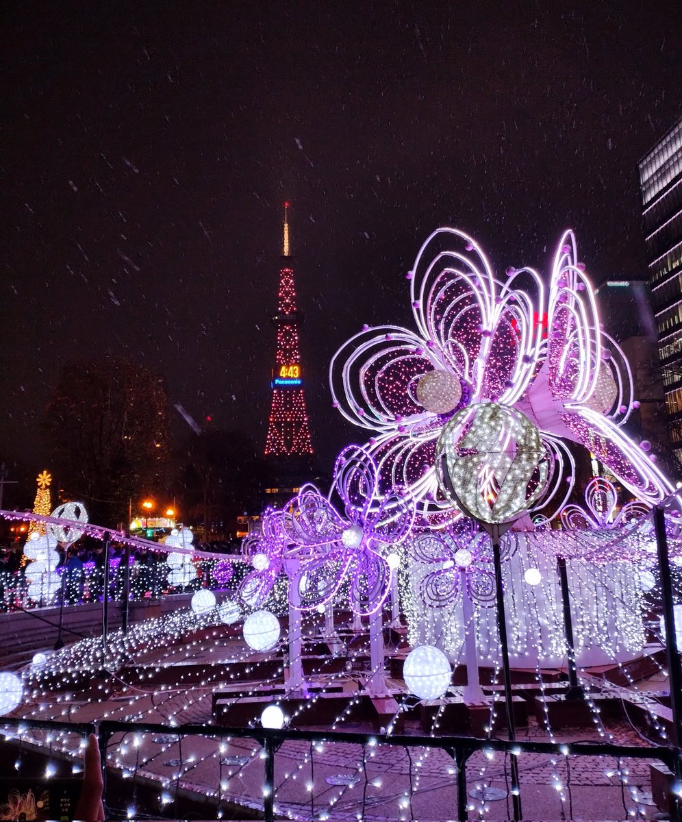 sapporolife2021's tweet image. 雪が舞う中、さっぽろホワイトイルミネーション2025スタート✨
#札幌市