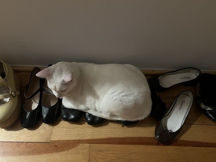 heuretrentesept's tweet image. finally friday