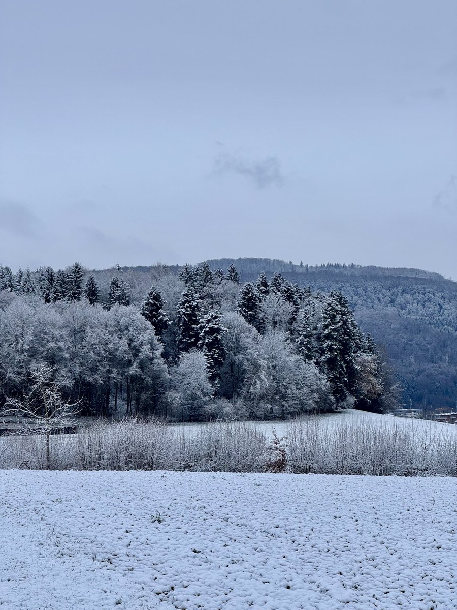 2020adoreyou's tweet image. 