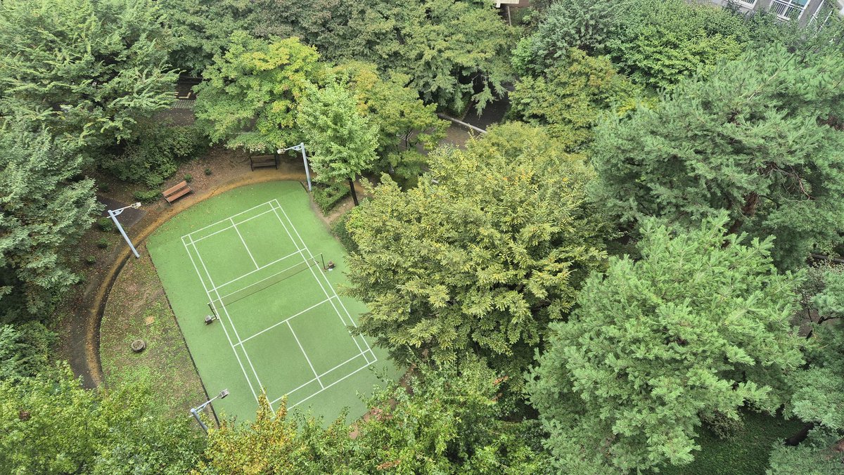 marrrr_r_r_r's tweet image. 우리 엄마가 찍은 풍경 사진 볼 사람•••🥺
여름/가을인데
왜 단풍이 옷을 입는다고 하는지 알 것 같아