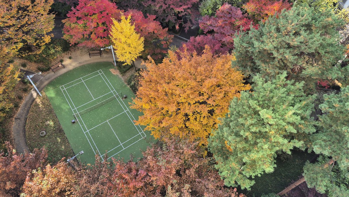 marrrr_r_r_r's tweet image. 우리 엄마가 찍은 풍경 사진 볼 사람•••🥺
여름/가을인데
왜 단풍이 옷을 입는다고 하는지 알 것 같아