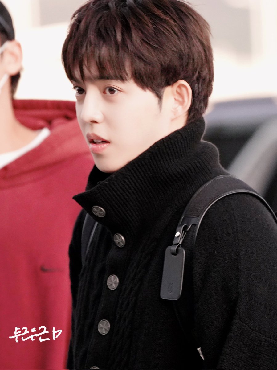 Pit a pat tweet media