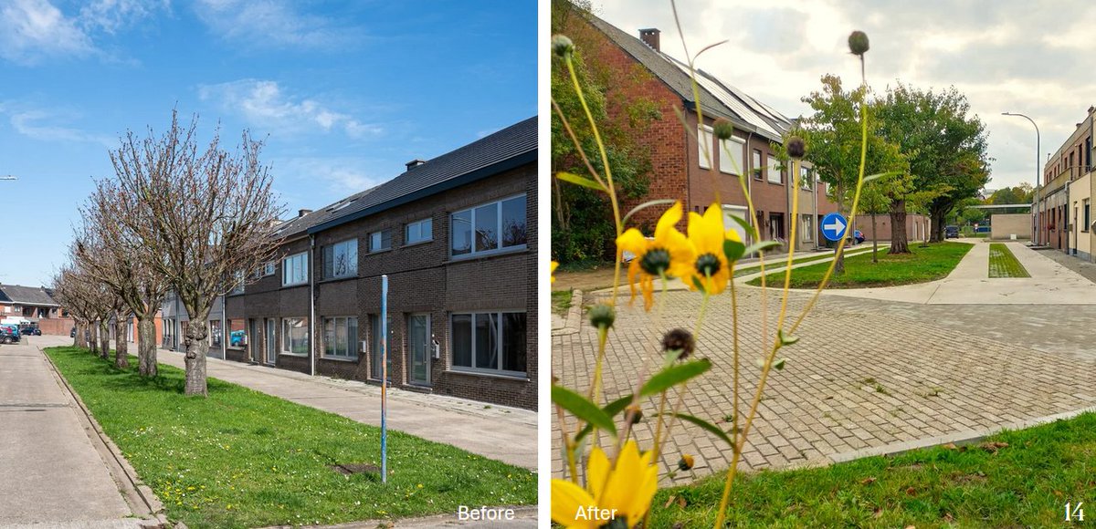 LIFEprogramme's tweet image. LIFE PACT has wrapped up🌿 

Over the past years, this #LIFEProject tested an integrated approach to urban climate adaptation, engaging citizens, local stakeholders &amp;amp; cities to deploy Nature-Based Solutions in Leuven, Madrid &amp;amp; Kraków

canva.com/design/DAGxXzB…