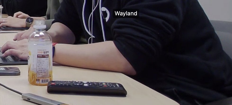 zoom에 프사 등록했더니 스마트 네임 태그 인식 잘 된다. 신기하군. 음성 등록도 했는데 이건 안해봄.