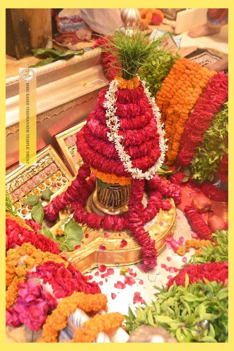 ShriVishwanath's tweet image. श्री काशी विश्वनाथ जी की मध्यान्ह-भोग आरती I
#kashi #darshan #kashivishwanath #VishwanathDham #blessings