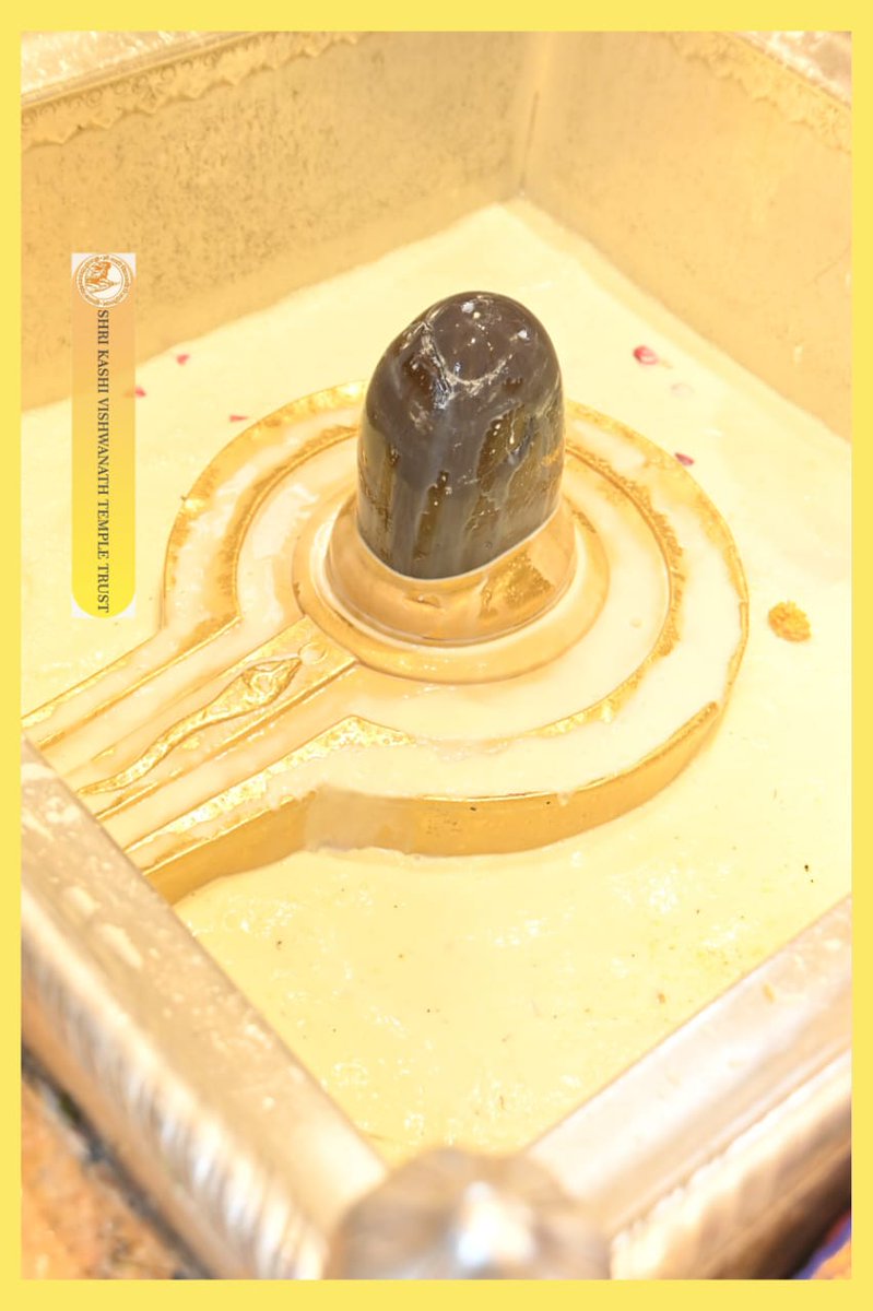 ShriVishwanath's tweet image. श्री काशी विश्वनाथ जी की मध्यान्ह-भोग आरती I
#kashi #darshan #kashivishwanath #VishwanathDham #blessings