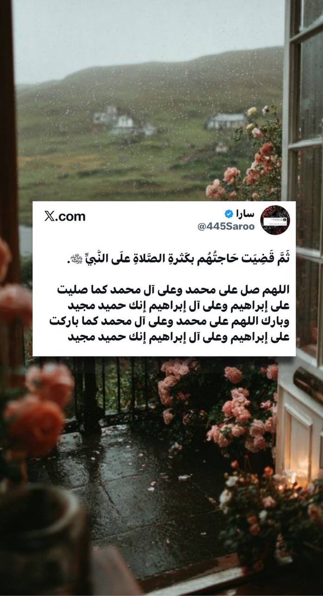 سارا tweet media